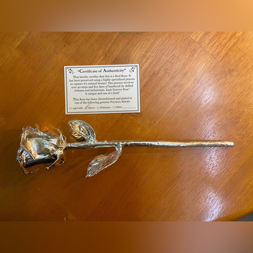 Forever Silver Dipped Rose